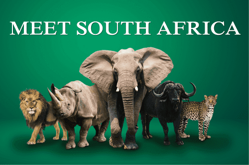 South African Tourism plans Re-emergence of MICE with big corporate travel decision-makers