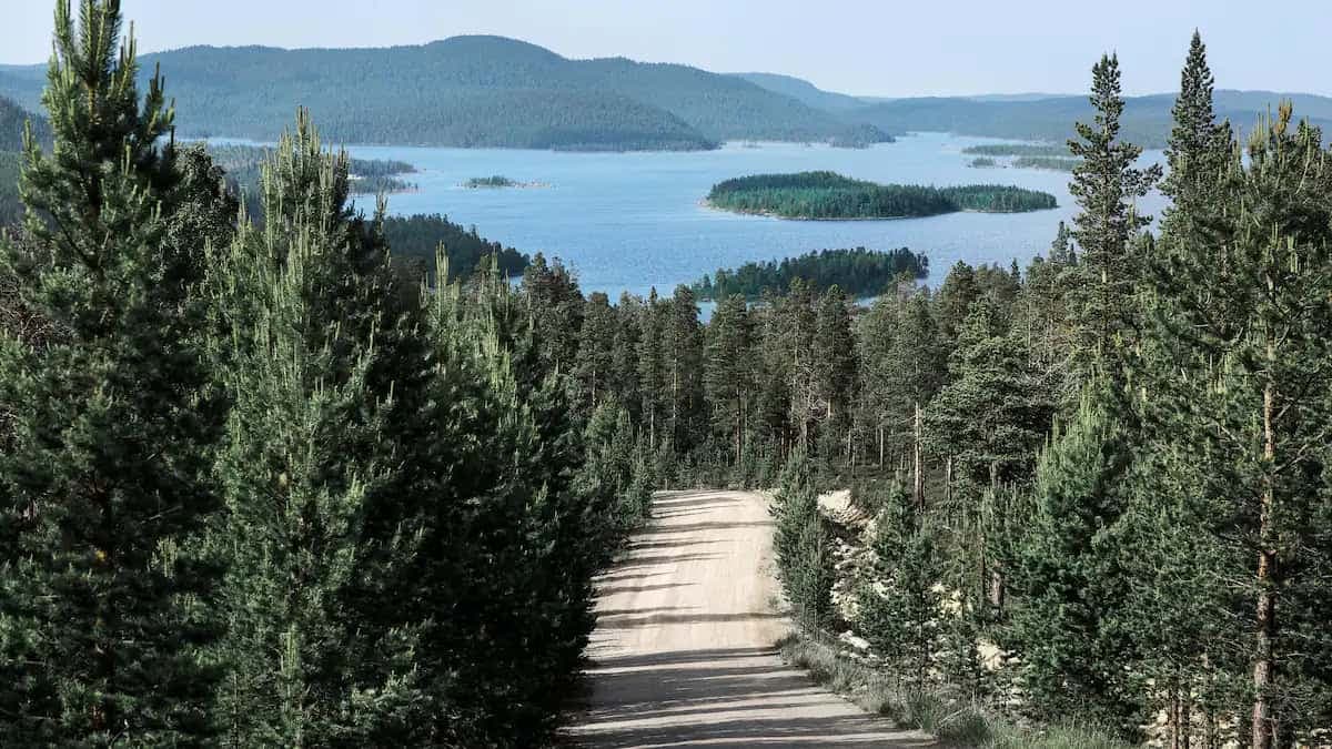 Beyond Winter: Discover the Magic of Summer in Finnish Lapland